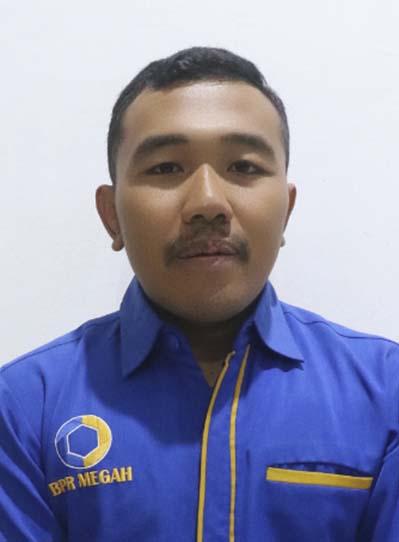 Dino Saputra
